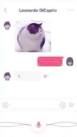 ddos在线网页端软件程序维护界面